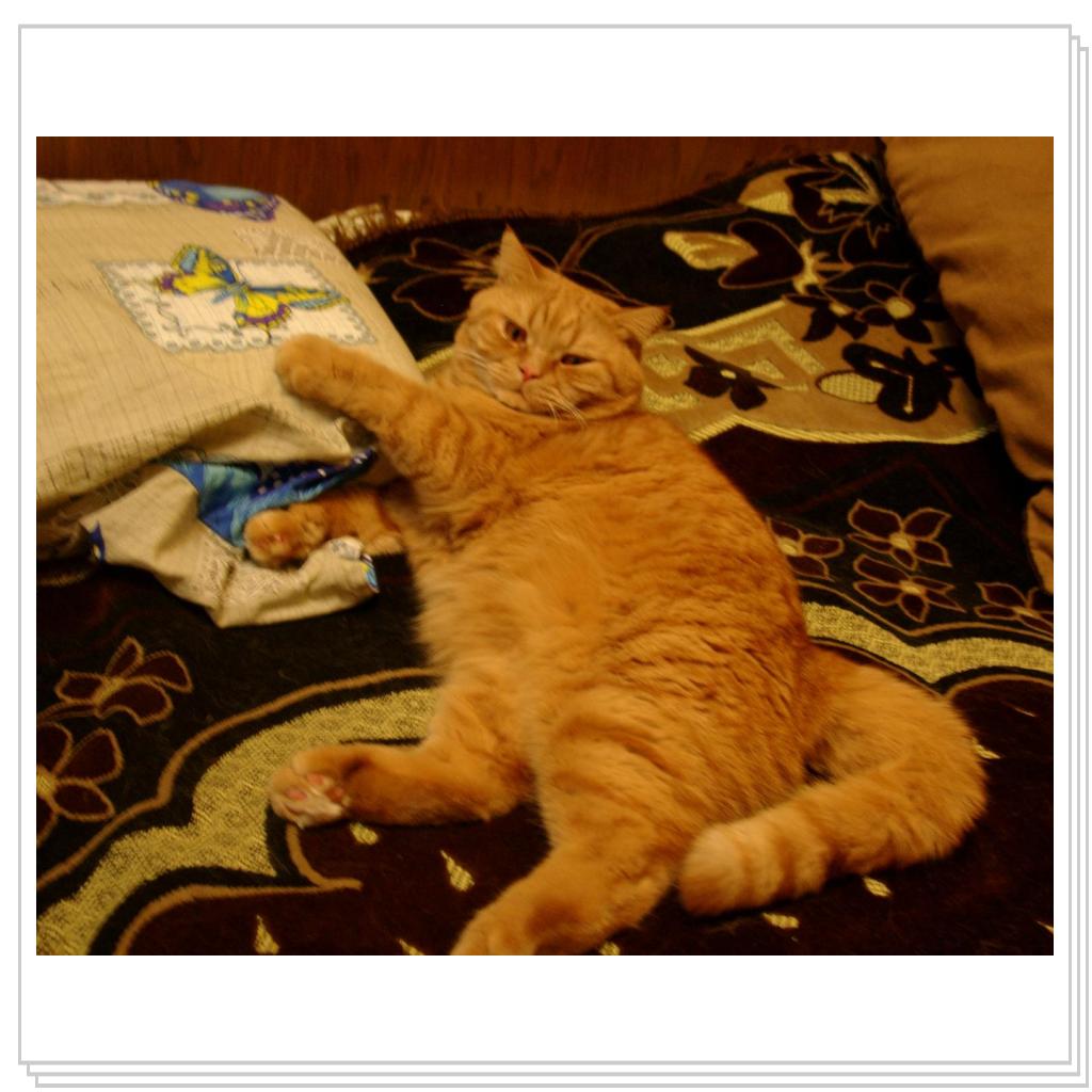 Ну чего уставились? Сплю я здесь..