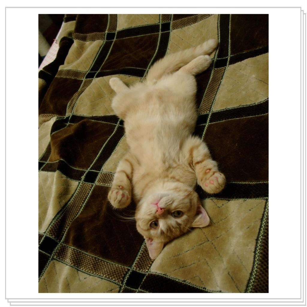 Балдежник (life is good)