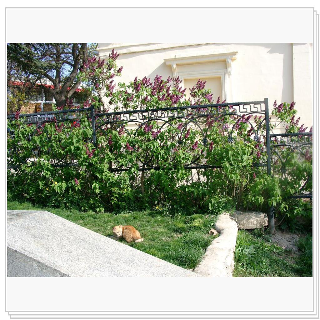 солнце, тепло..