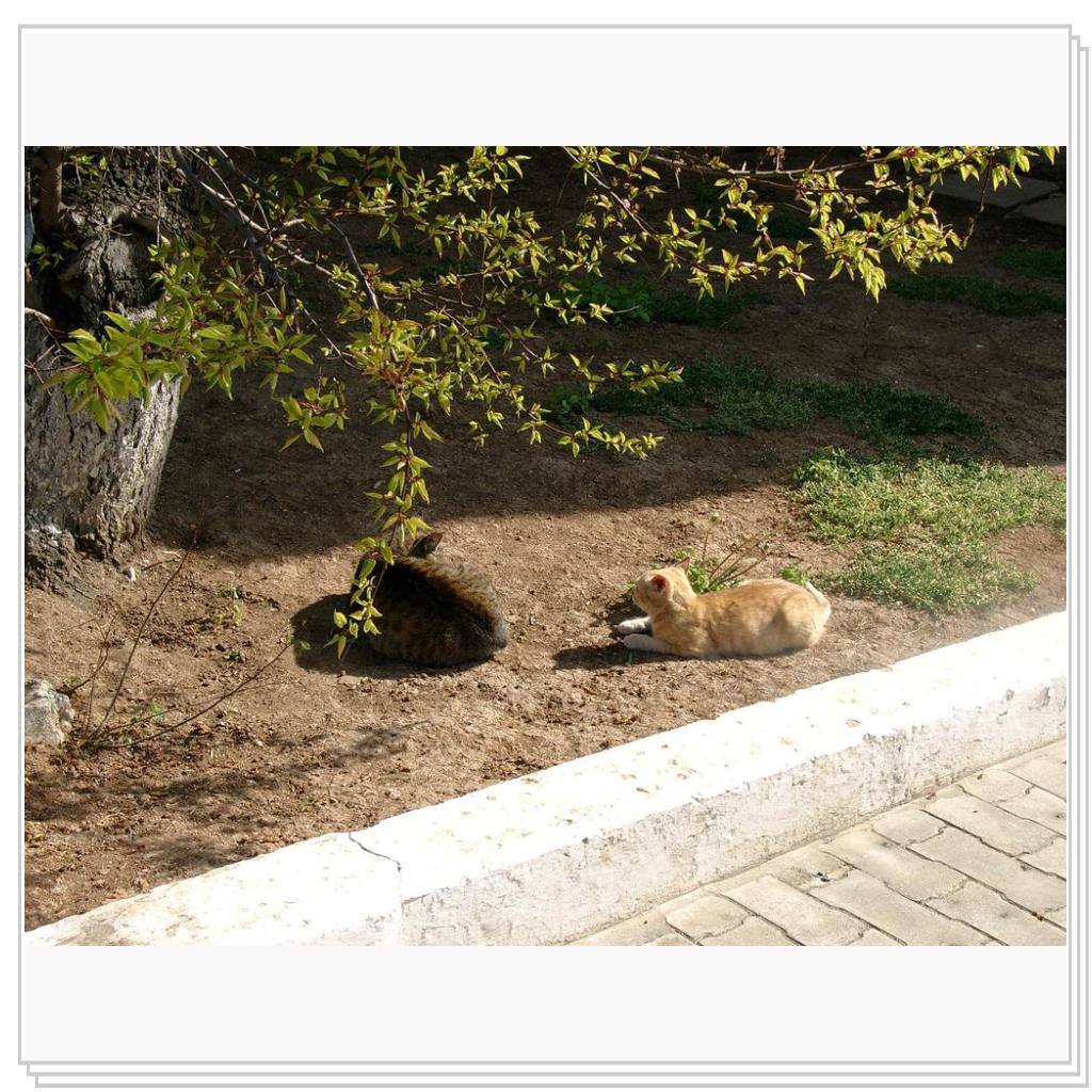 и поодиночке и парами