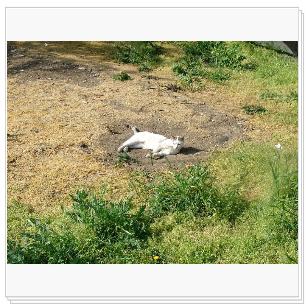 солнечные и грязевые ванны)))