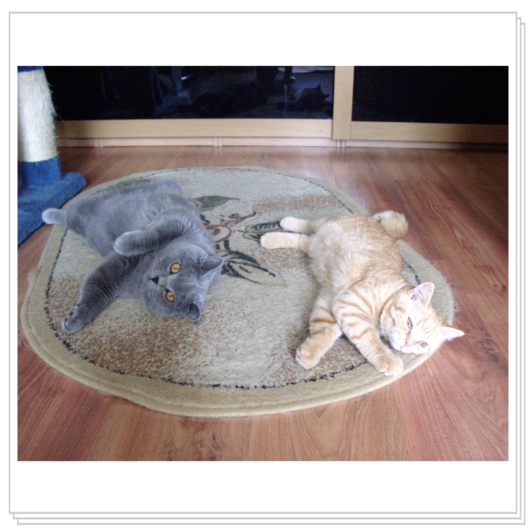 Хорошо вместе! (together)