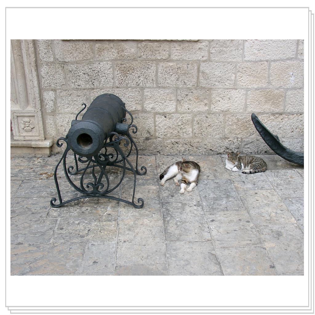 Котор. Старый город. Просто музейный экспонат, а не кошки))