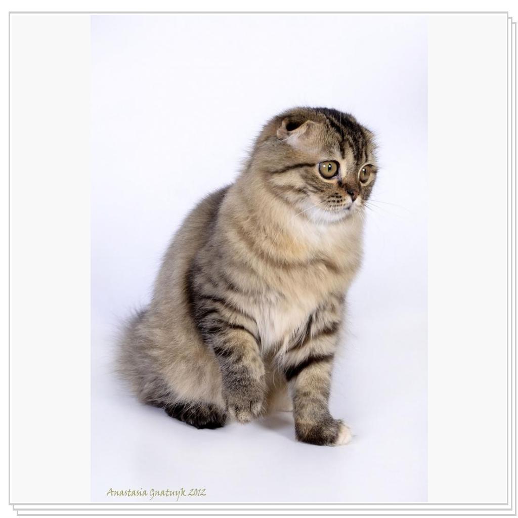 Emerald Izabella of Miranis