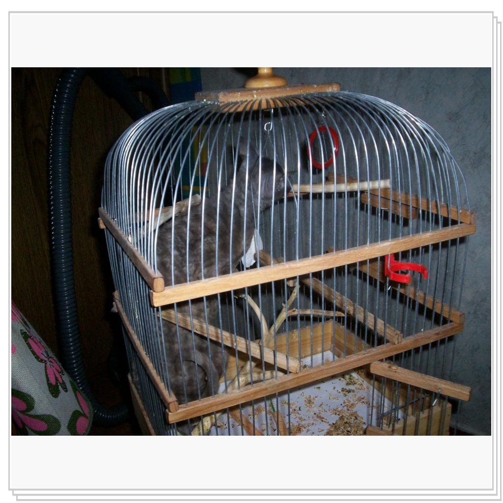 Уборка, уборка и еще раз уборка!