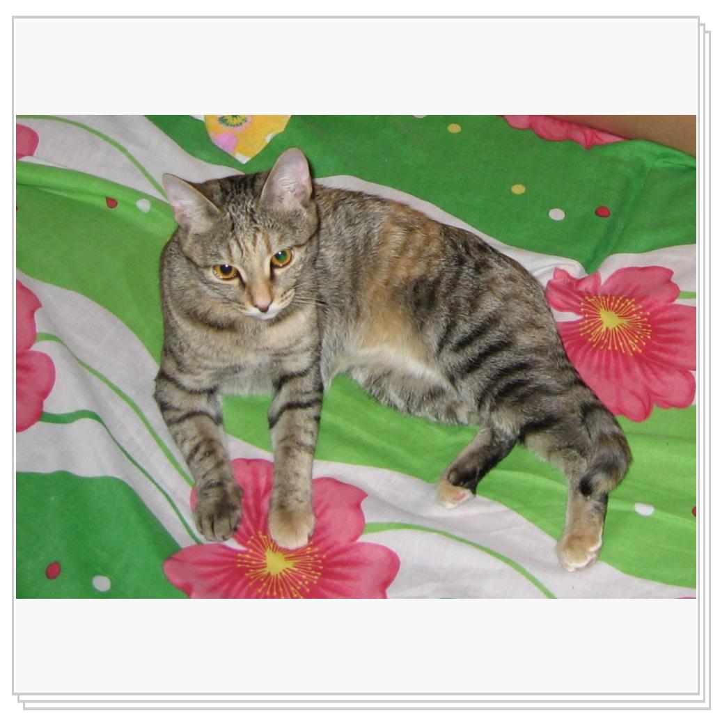 Разве не красотка?