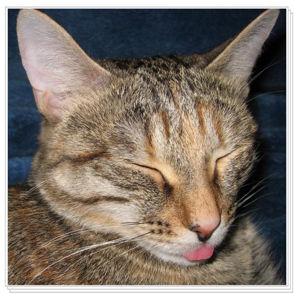 Вот так вам! ))