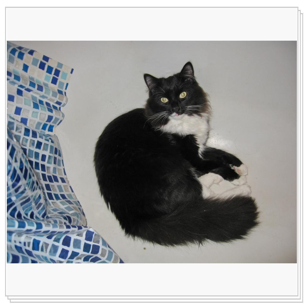 Ну когда ванну будем принимать? Я готов!