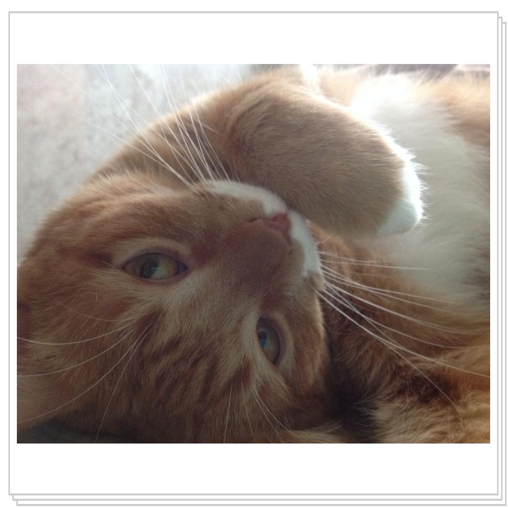 ну что, привет?