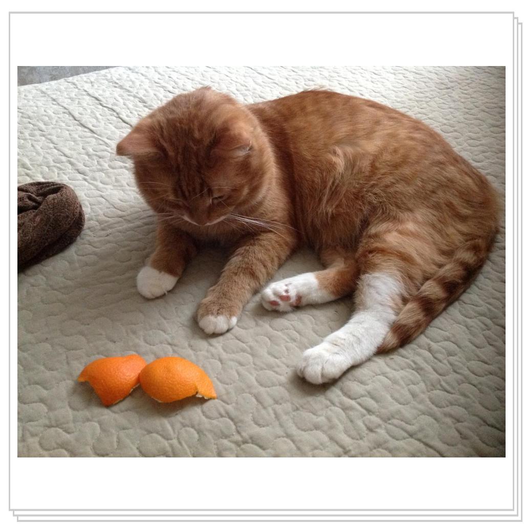 Мандарин...фи..