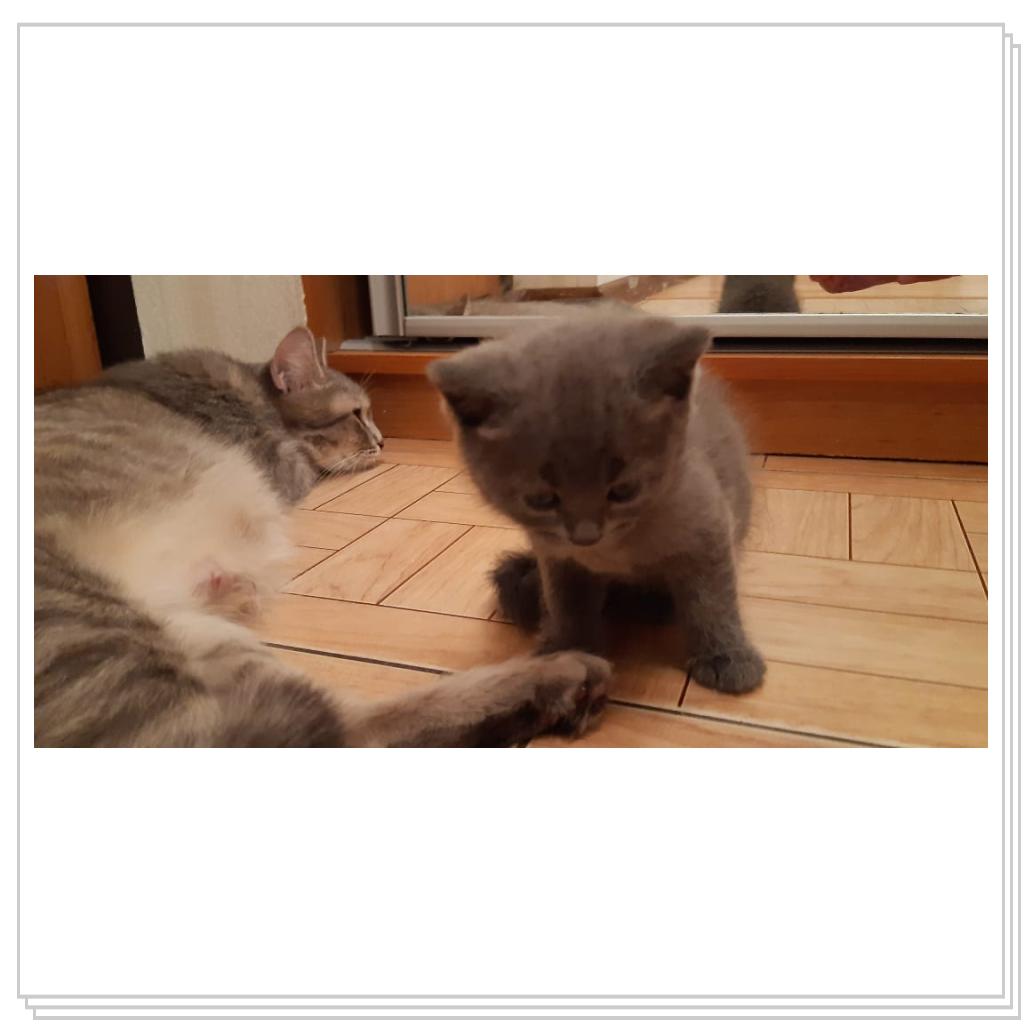 Марсик с мамочкой