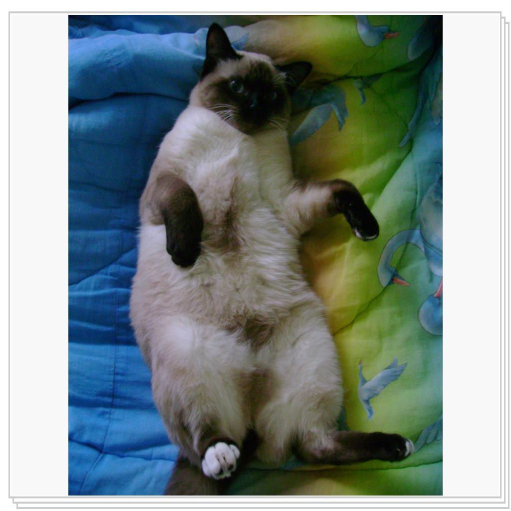 постельный режим