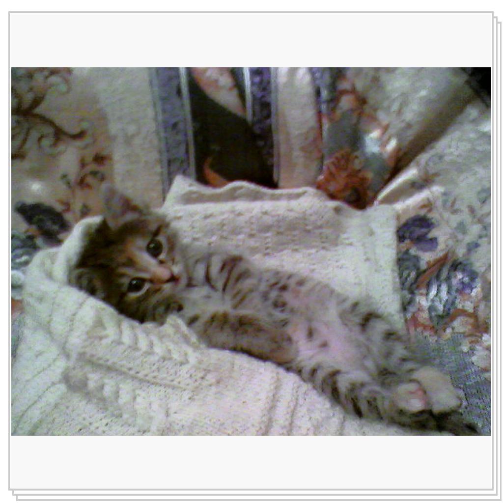 Люси маленькая