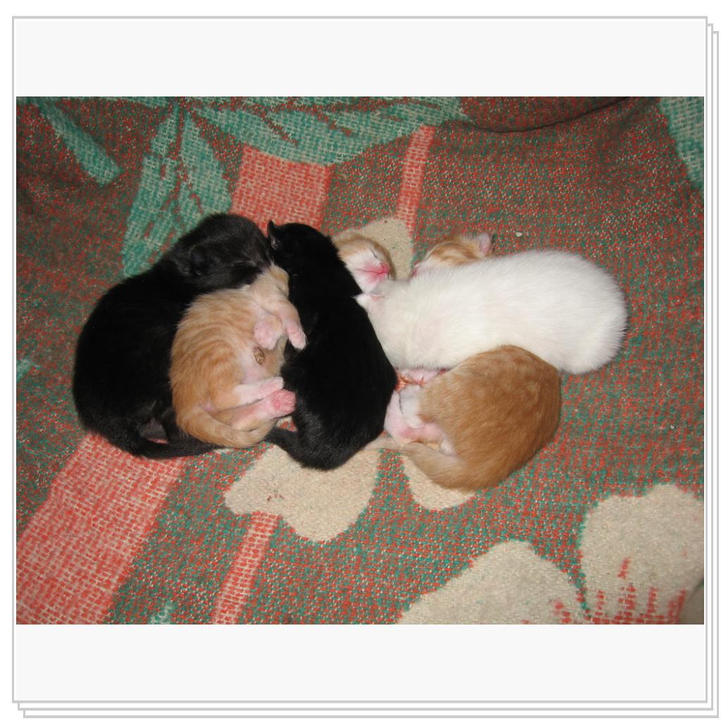 Спим вповалку