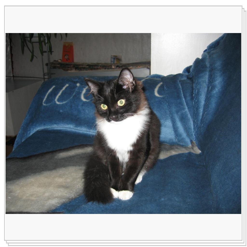 Русланчику год, зовем Масик, потому что был масенький ))