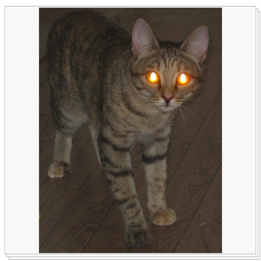 Впеервые увидела шв.машинку!