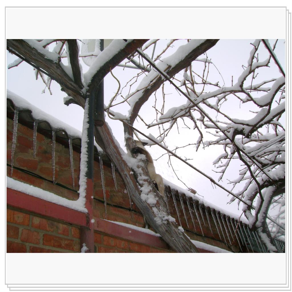 не хочу фоткаться!!!