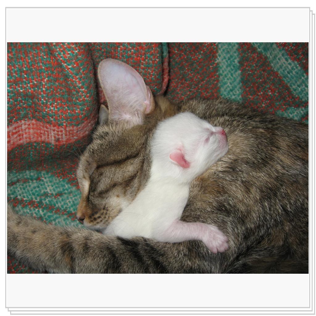 На маме мягче