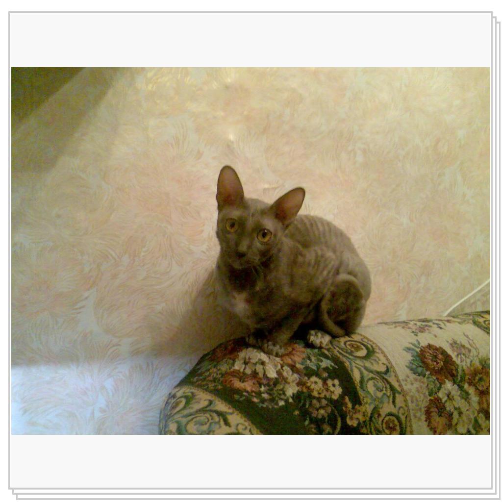 Моя красавишна!