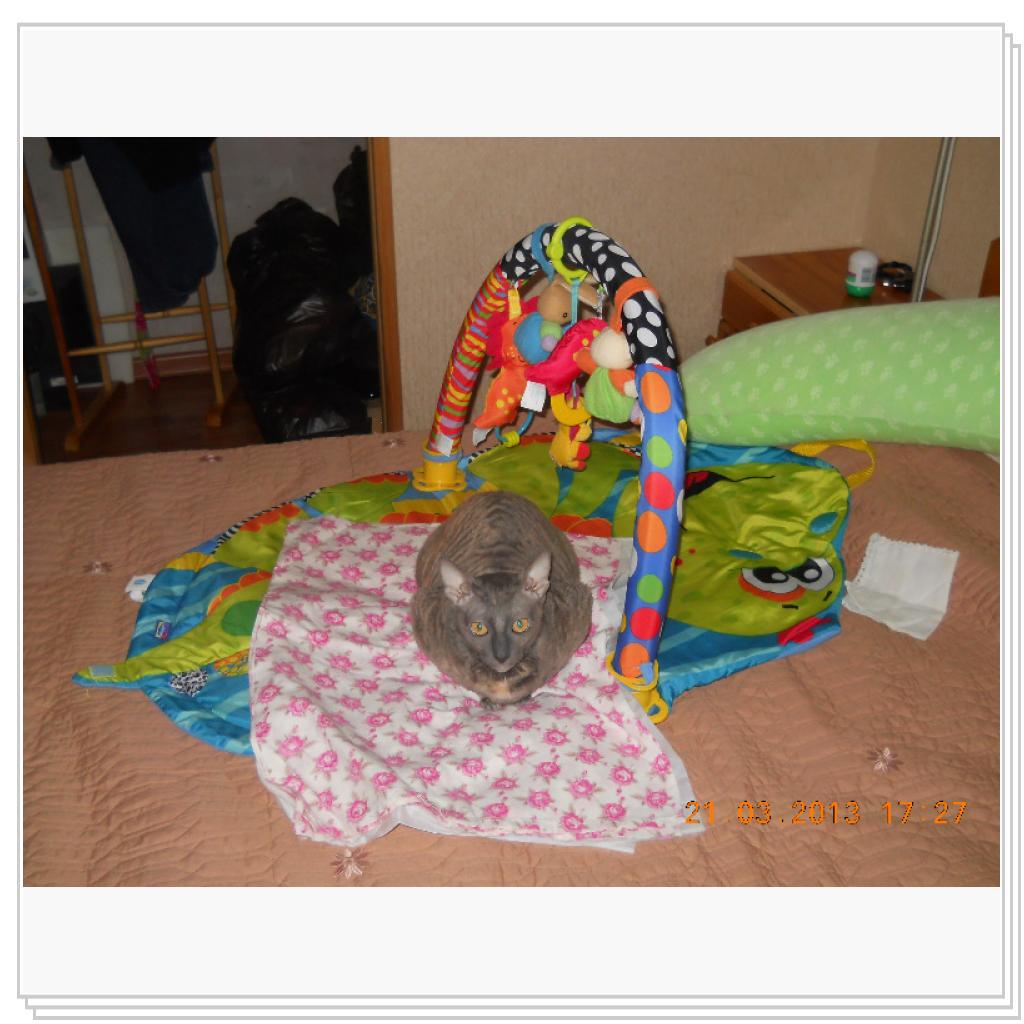 Багира проверяет игрушечный комплекс