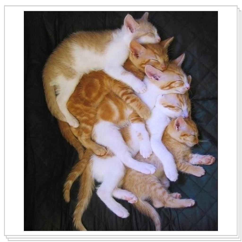 Вотето я понимаю семейство