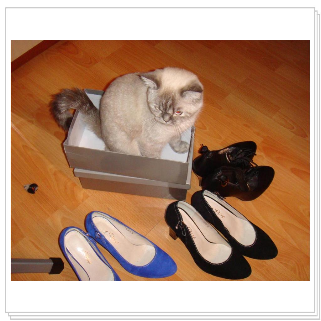 Ну совсем нечего надеть!