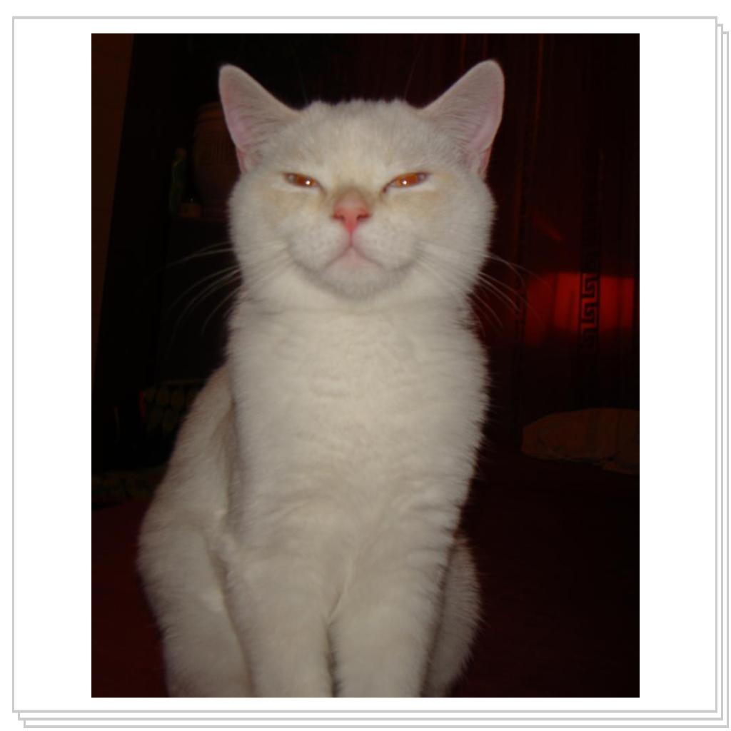 Беня глядит с прищуром