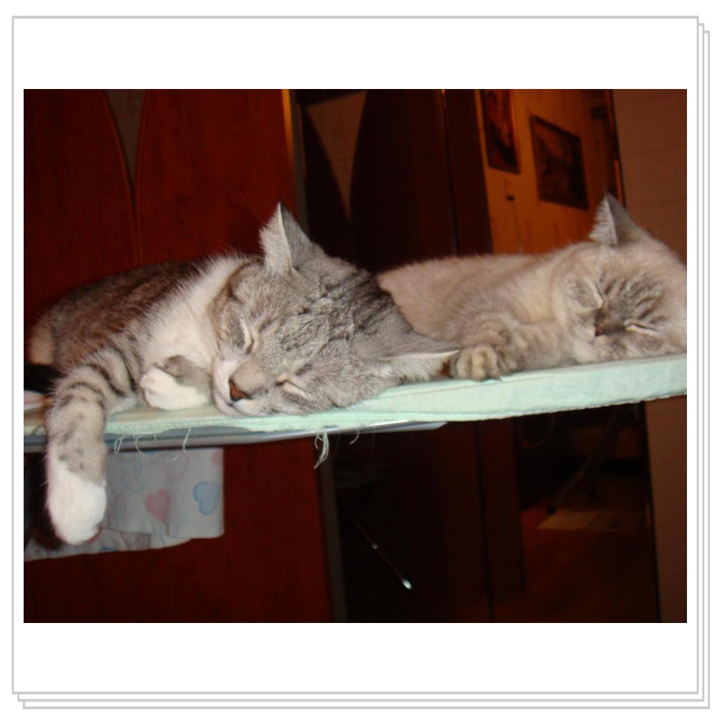 Мама, а нас гладить будешь?