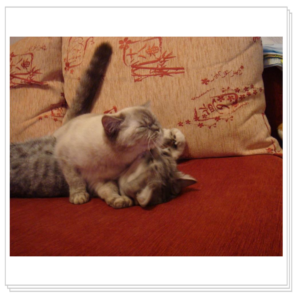 Маленькая Мотя и Лео