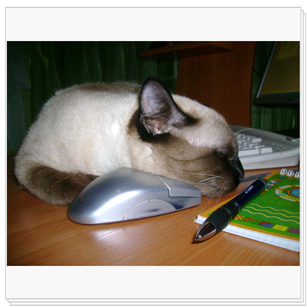 равнодушие к "мышам"