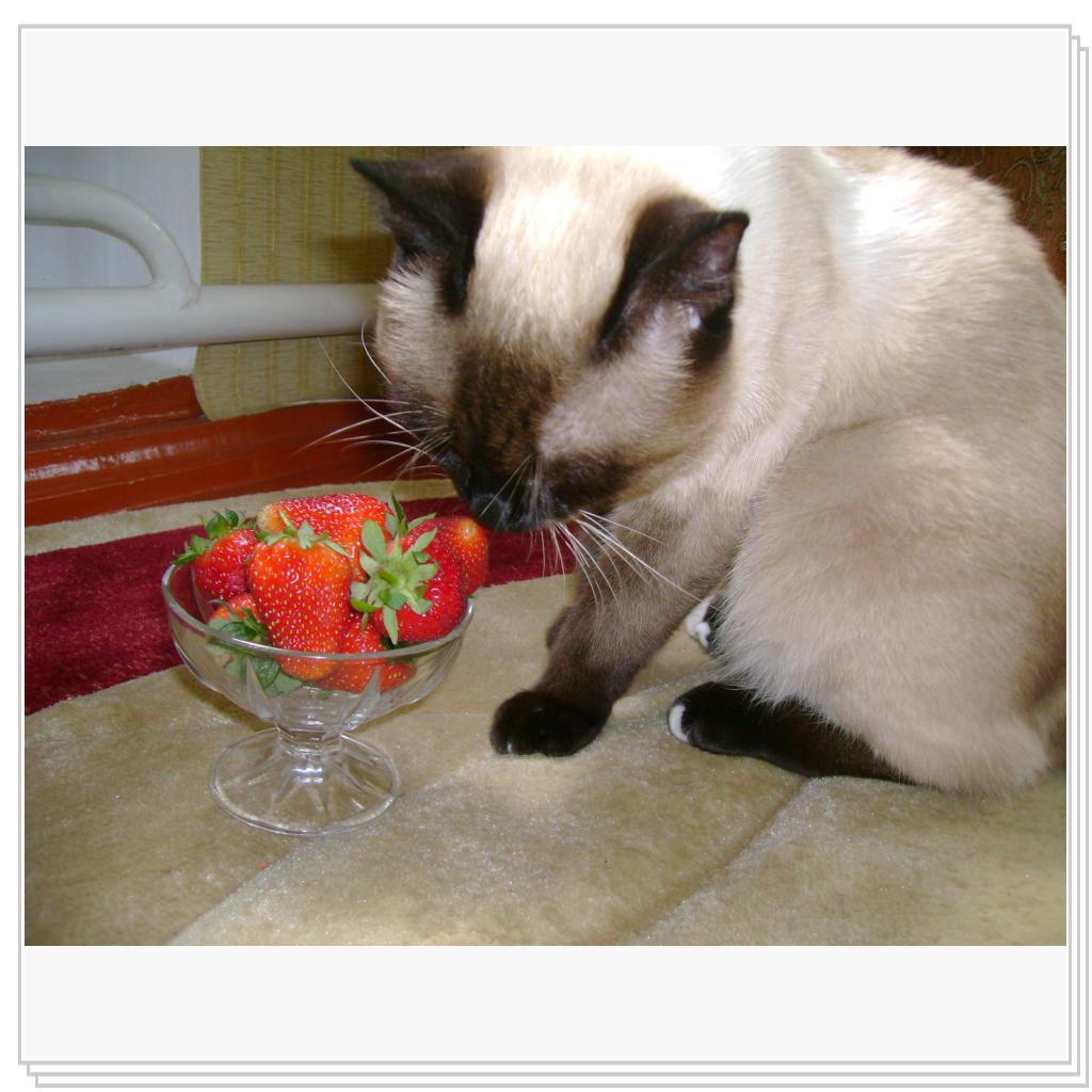 лучше клубники только колбаса