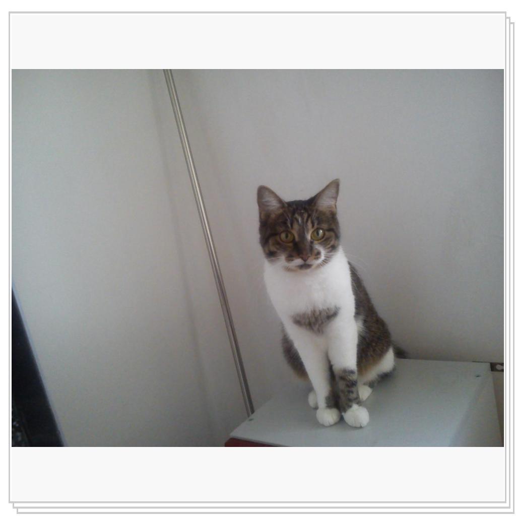 малышка Мила