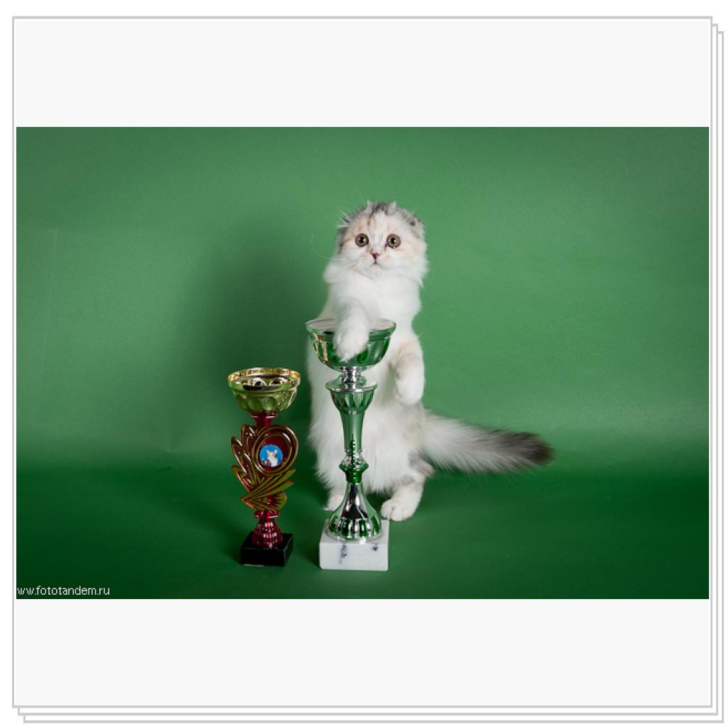 Демарис Белуччи Серебрянная кукла