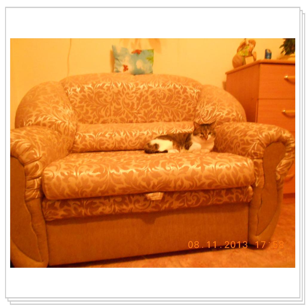 Барсик на кресле