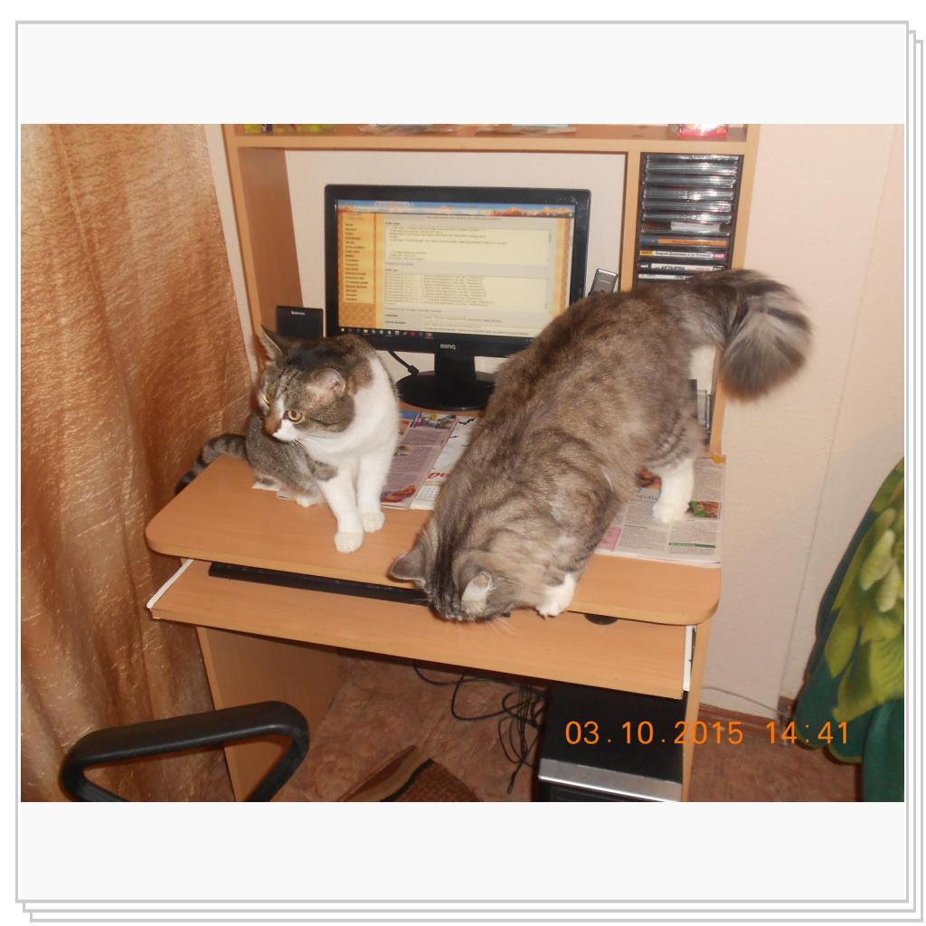 Два модератора