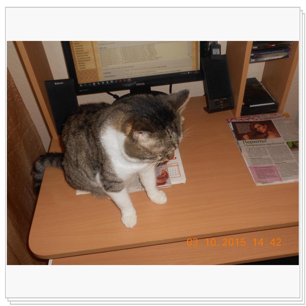 Долго Барсик думал, над таблицей стилей форума.