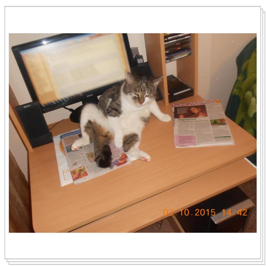 Тишка вот он