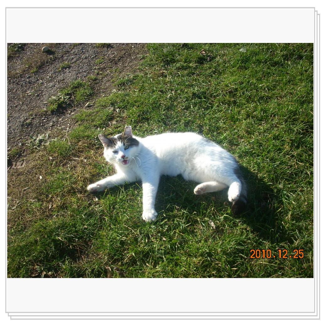 Не меша-а-ать!!!