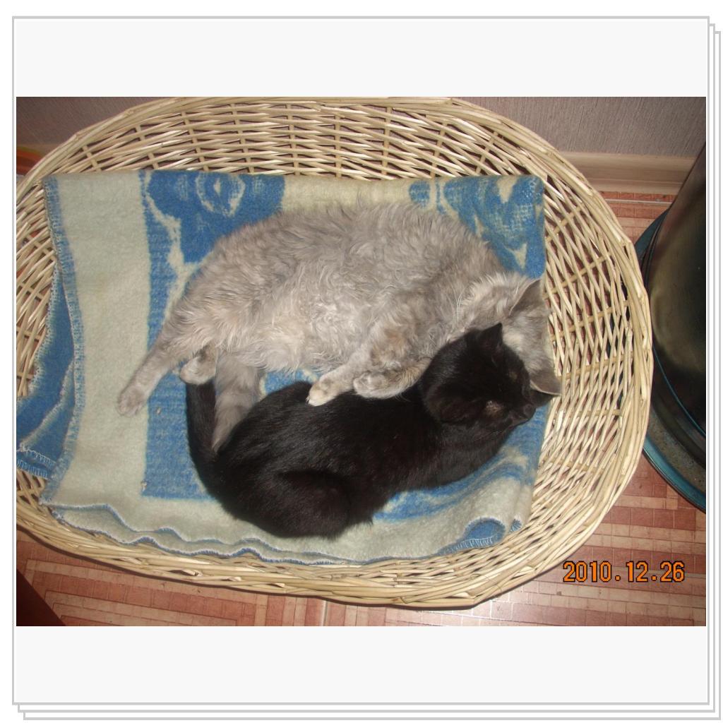 Такими они стали.