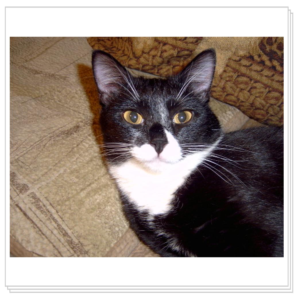 Джима подросла, похорошела