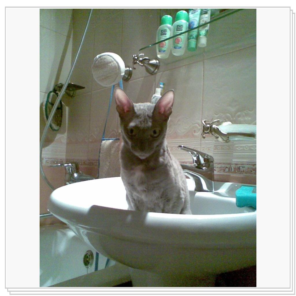 Готовлюсь к полету на летающей тарелке!