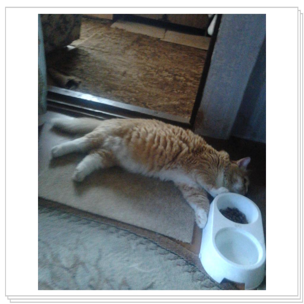 Нюша после трудового дня в деревне