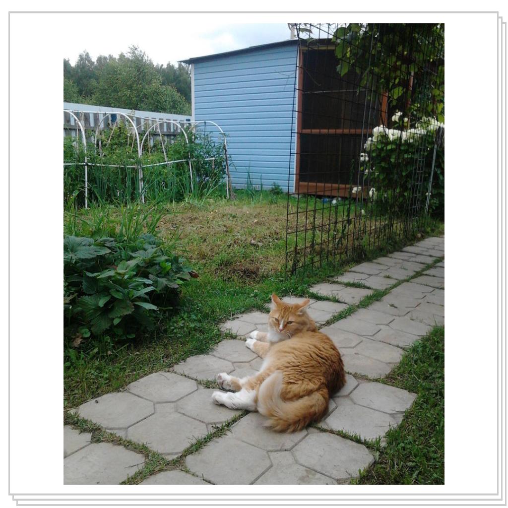 как Нюша проводит лето