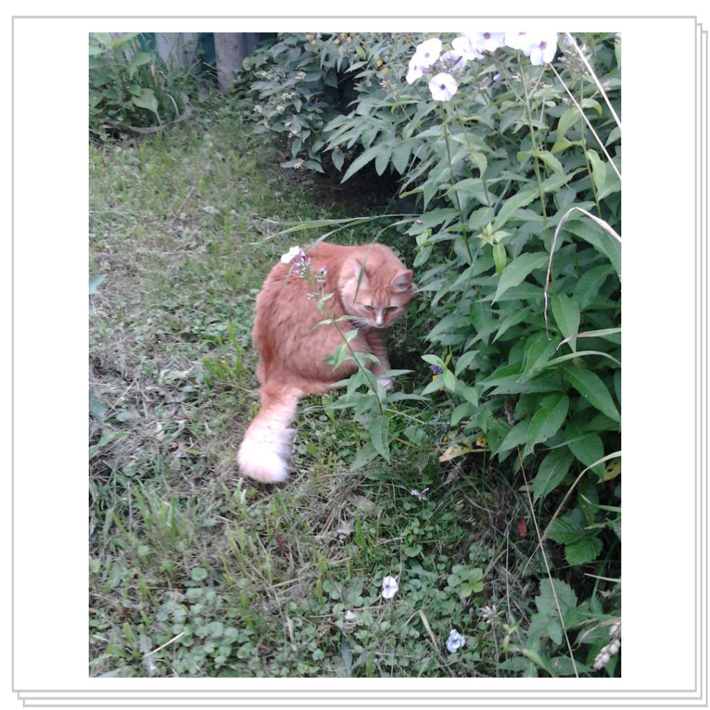 как Нюша проводит лето