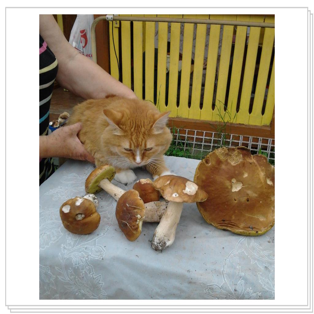 как Нюша проводит лето