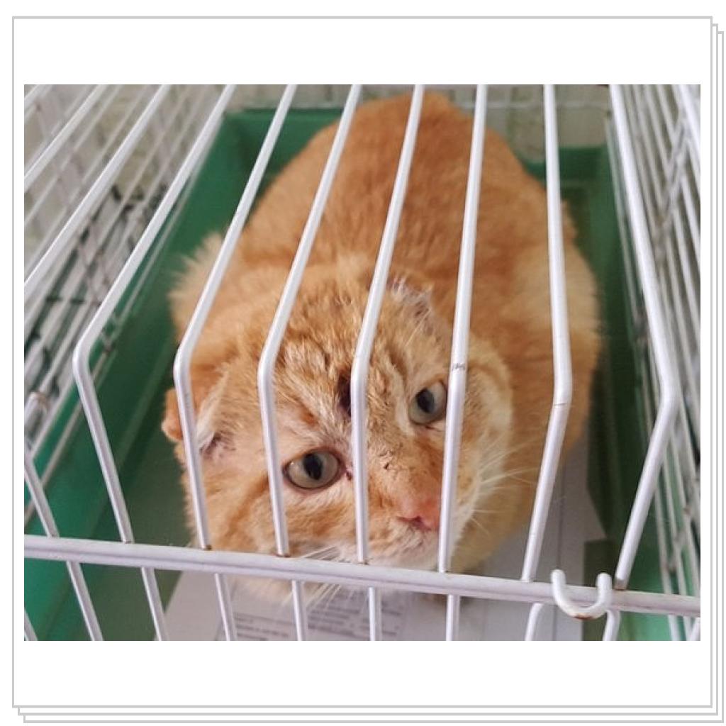 С улицы домой