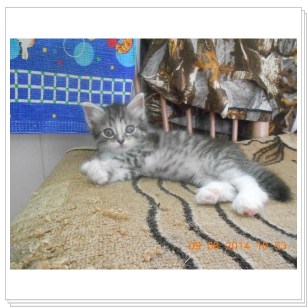 Вот вам Дарья