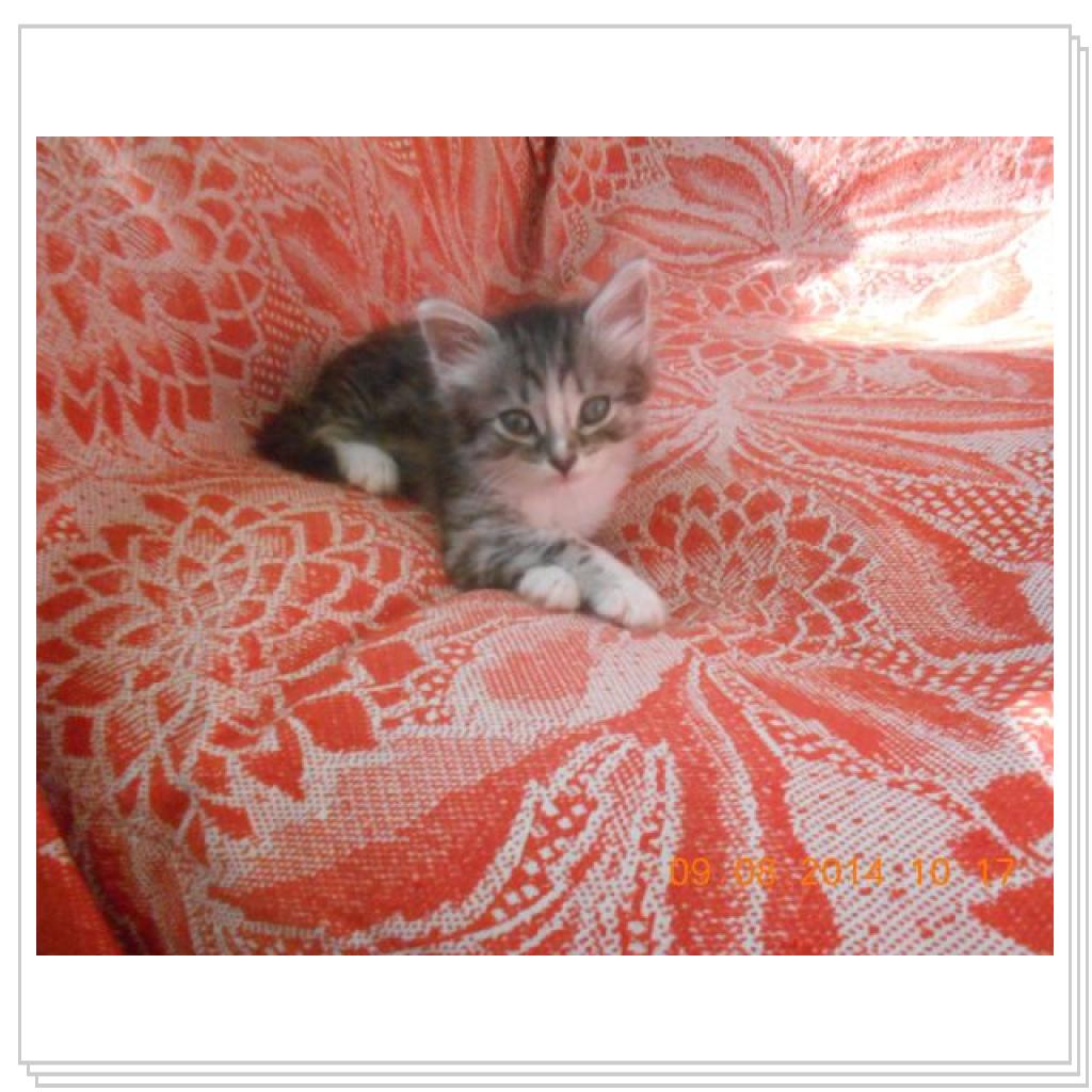 Вот вам Дарья