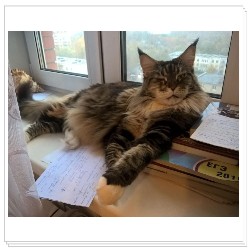 лежу, в окно гляжу)))