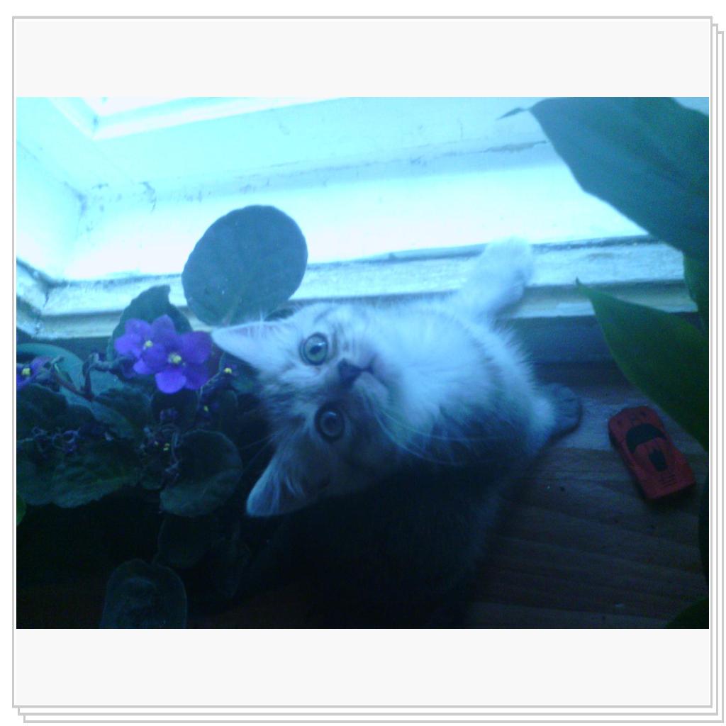 Снежана маленькая